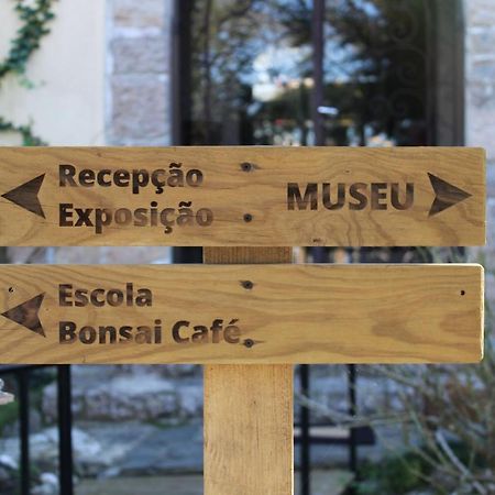 Zen Guest House - Museu Do Bonsai ซินตรา ภายนอก รูปภาพ