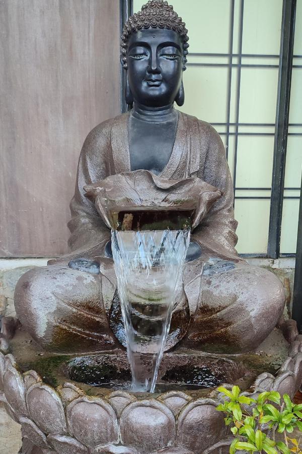 Zen Guest House - Museu Do Bonsai ซินตรา ภายนอก รูปภาพ