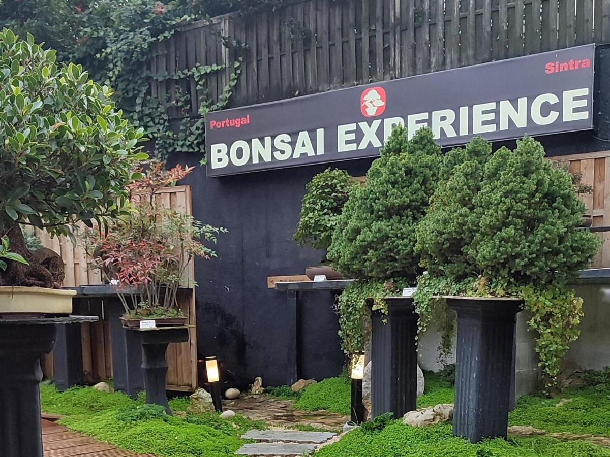 Zen Guest House - Museu Do Bonsai ซินตรา ภายนอก รูปภาพ